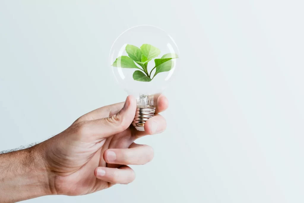 A hand holding a transparent lightbulb with a small green plant growing inside it, set against a plain light background.
